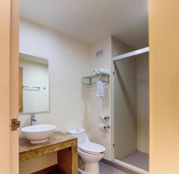 חדר סטנדרט, Los Herederos Hotel Piedras Negras