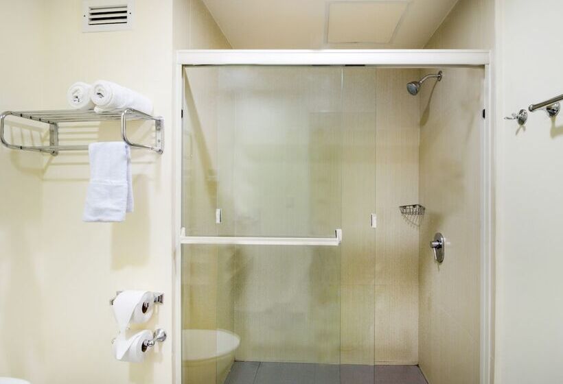 חדר סטנדרט, Los Herederos Hotel Piedras Negras