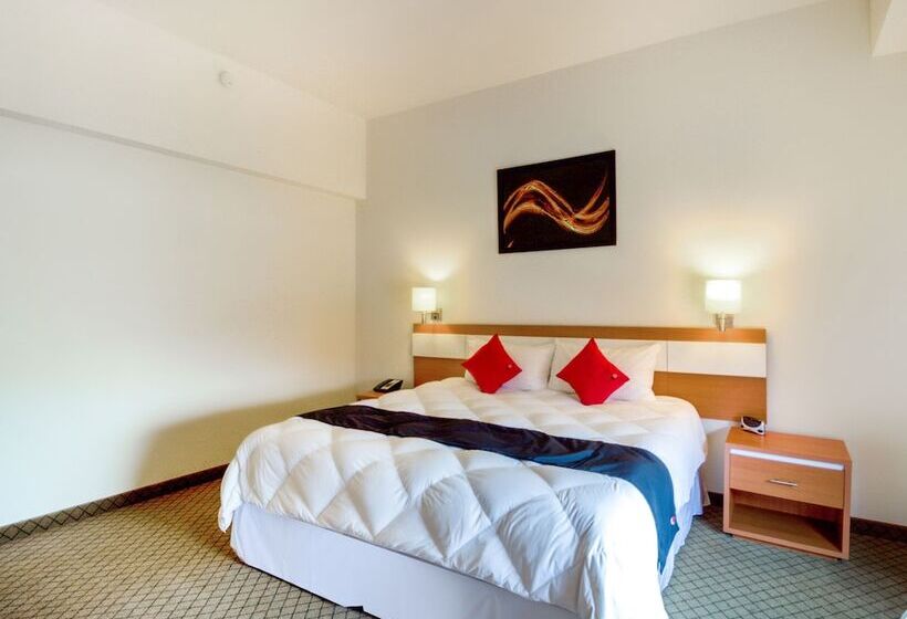 חדר סופריור, Los Herederos Hotel Piedras Negras