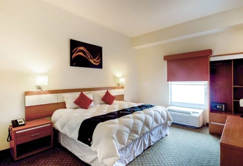 חדר סופריור, Los Herederos Hotel Piedras Negras