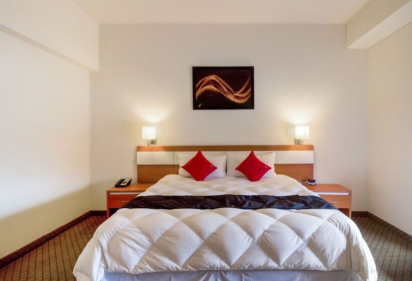 수피리어 룸, Los Herederos Hotel Piedras Negras