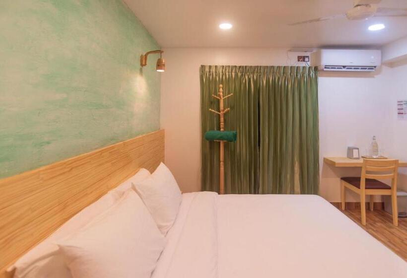 اتاق استاندارد, Turtle Maldives Your Gateway To The Beach & Marine Adventures Await!