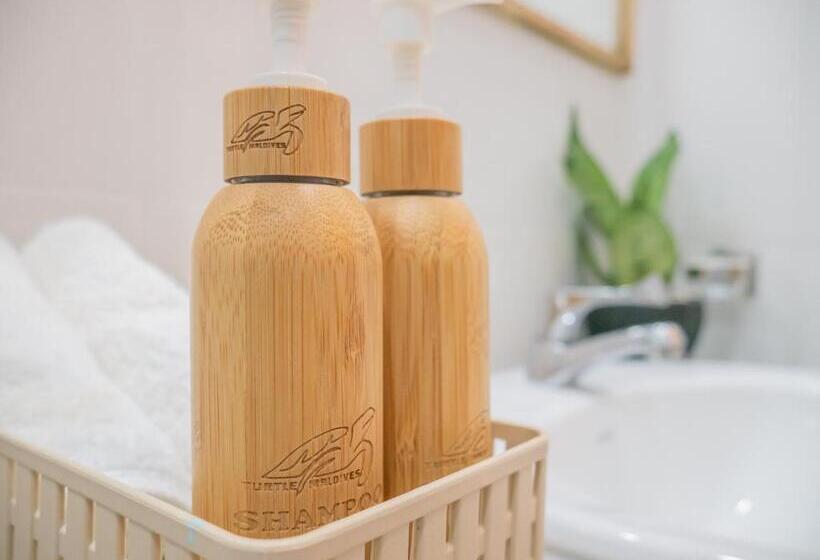 اتاق استاندارد, Turtle Maldives Your Gateway To The Beach & Marine Adventures Await!