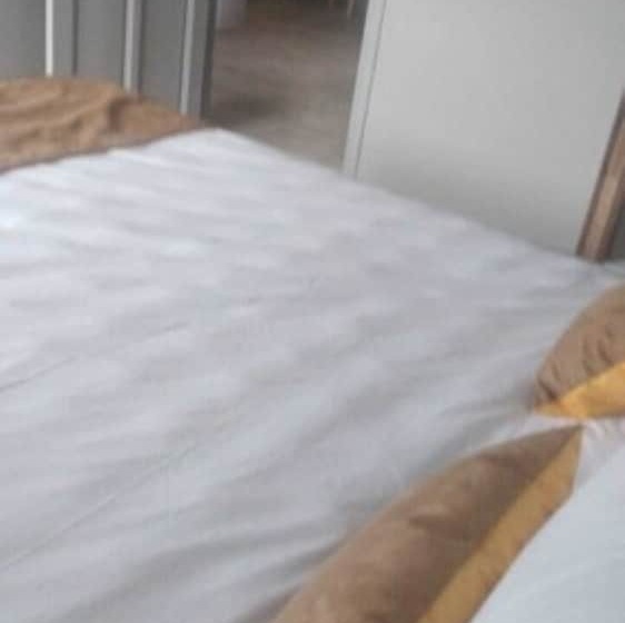 آپارتمان سوپریور 1 خوابه, Hamilton Suites & Appart