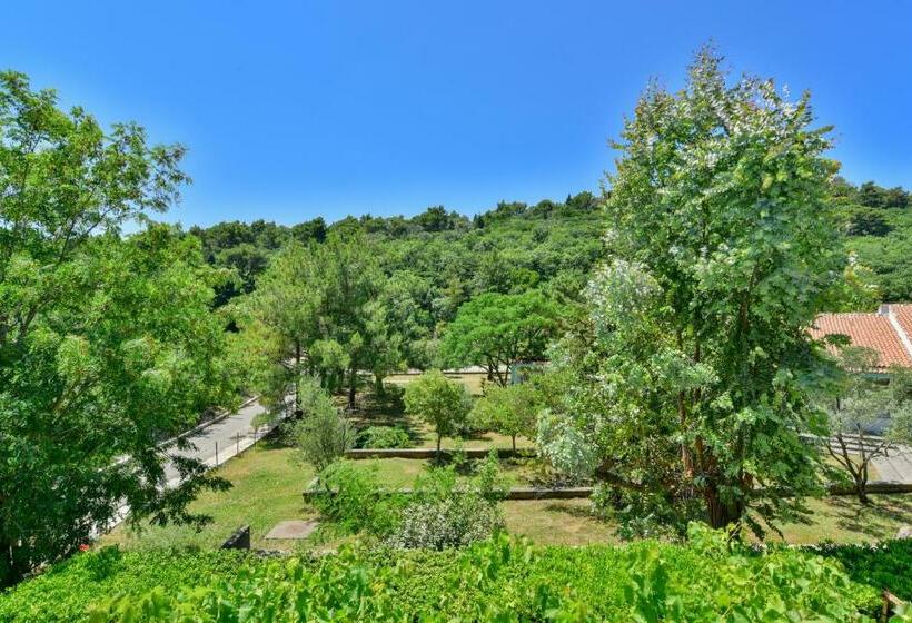 Suite with Terrace, Baka Zlata Apartments