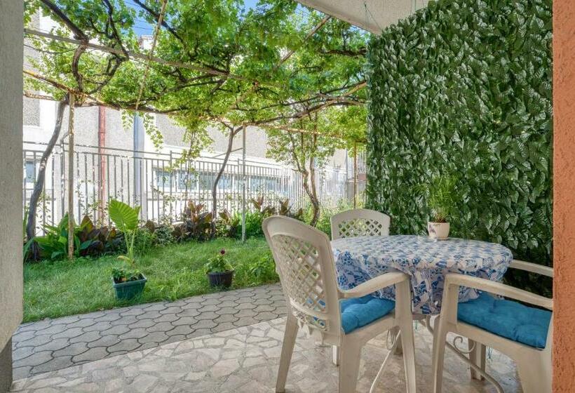 استودیوی استاندارد, Baka Zlata Apartments