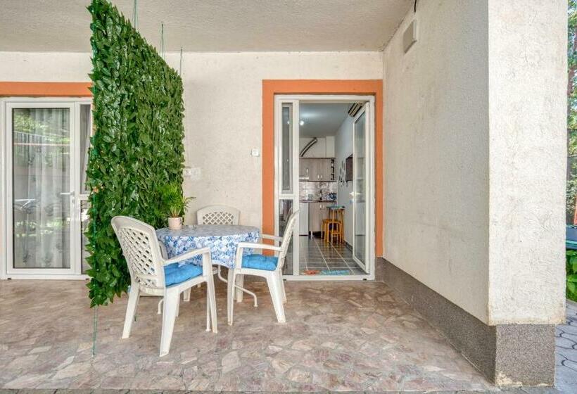 استودیوی استاندارد, Baka Zlata Apartments