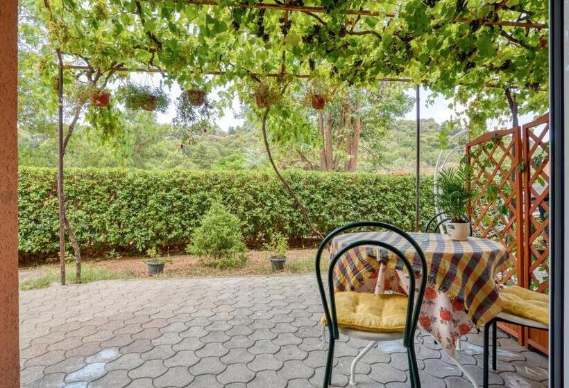 استودیو استاندارد با چشمانداز باغ, Baka Zlata Apartments