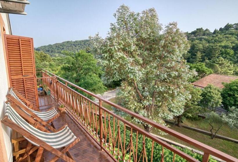 سوئیت با بالکن, Baka Zlata Apartments