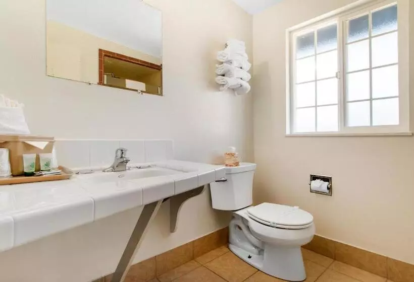 اتاق استاندارد با تخت بزرگ, Eureka Town House Motel  Historic Old Town