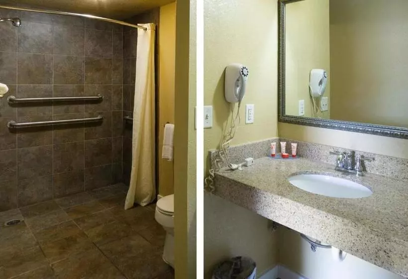 身障者適用キングサイズベッドルーム, Woodridge Inn And Suites