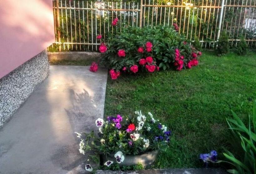 آپارتمان 1 خوابه, Guest House Bosnian House