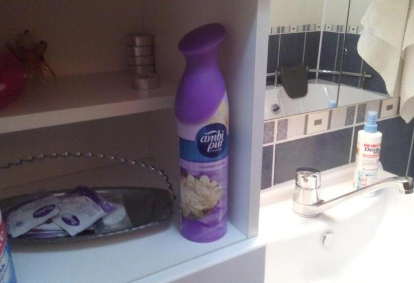 آپارتمان لوکس 1 خوابه, Guest House Bosnian House