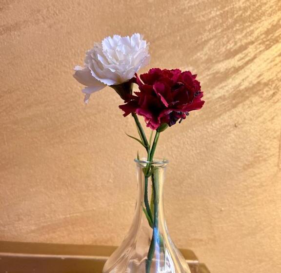 آپارتمان لوکس 1 خوابه, Guest House Bosnian House