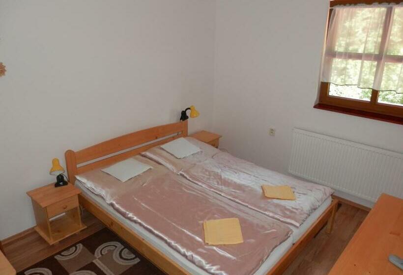 اتاق استاندارد, Penzion Stárek