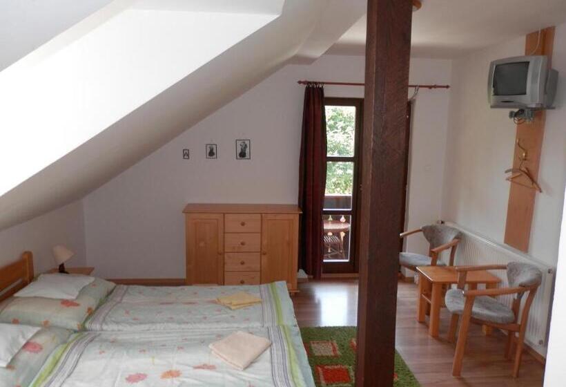 اتاق استاندارد, Penzion Stárek