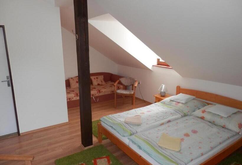 اتاق استاندارد, Penzion Stárek