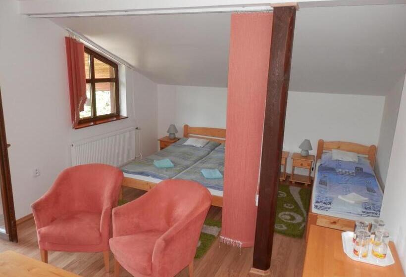 اتاق استاندارد, Penzion Stárek