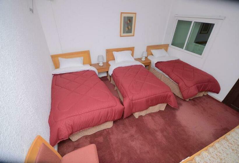 اتاق لوکس سه تخته, Petra Lion