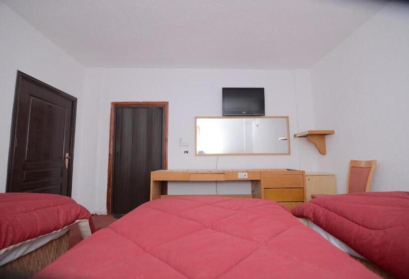 اتاق لوکس سه تخته, Petra Lion