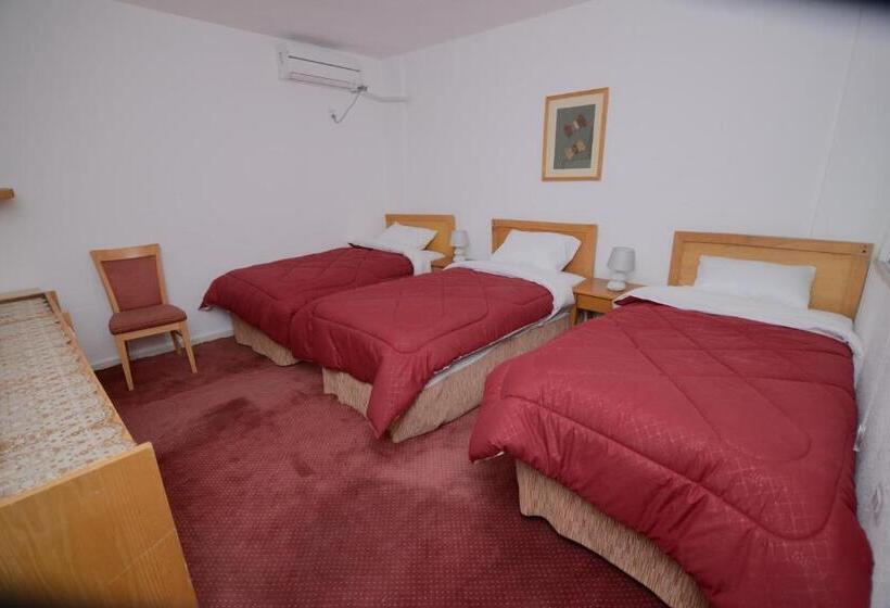 اتاق لوکس سه تخته, Petra Lion