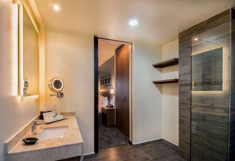 带大床的套房, Hampton By Hilton David