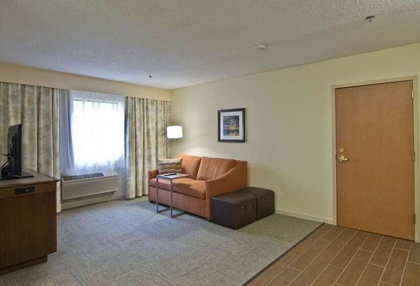 带大床的套房, Hampton By Hilton David