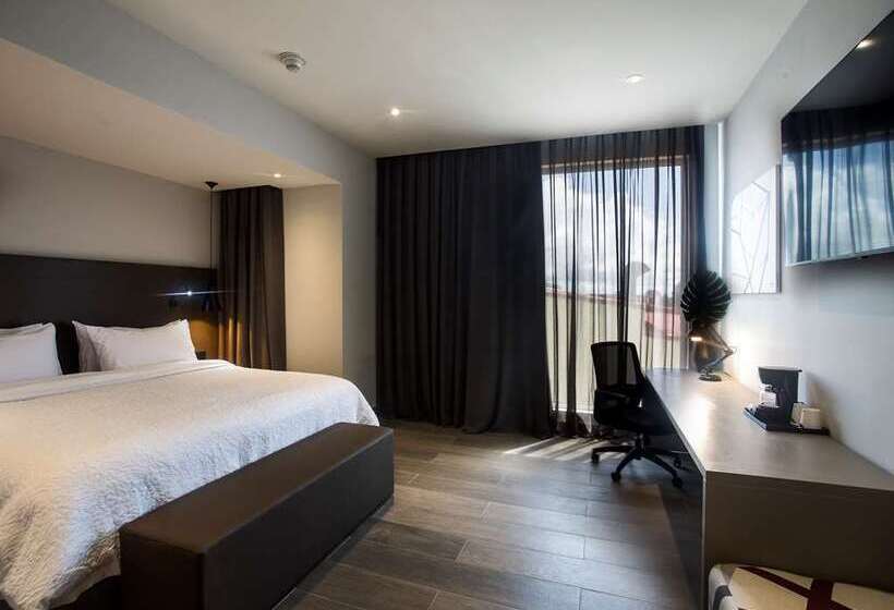 带大床的套房, Hampton By Hilton David