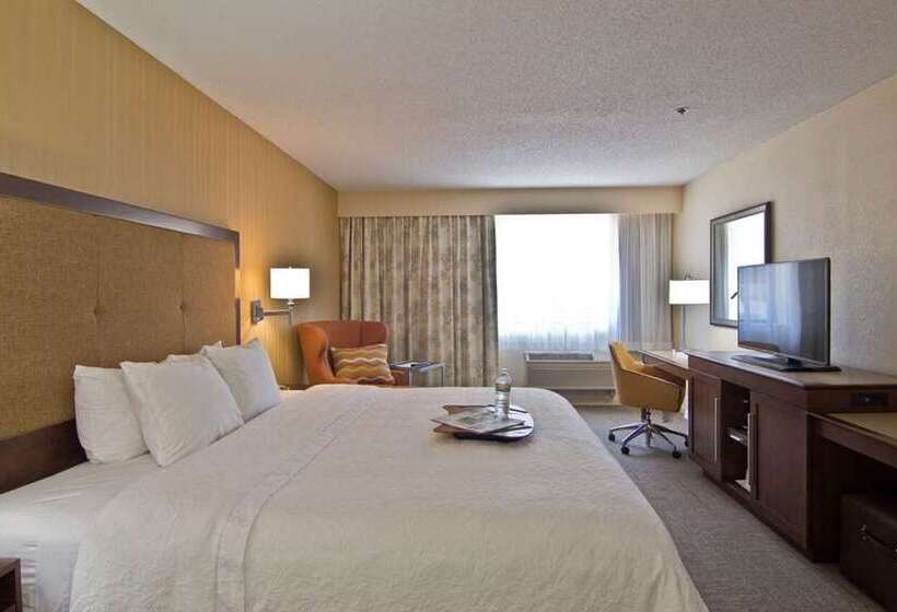 带大床的套房, Hampton By Hilton David