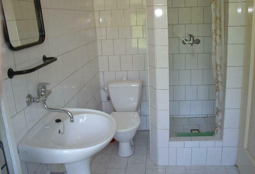 חדר סטודיו סטנדרד, Penzion Roko