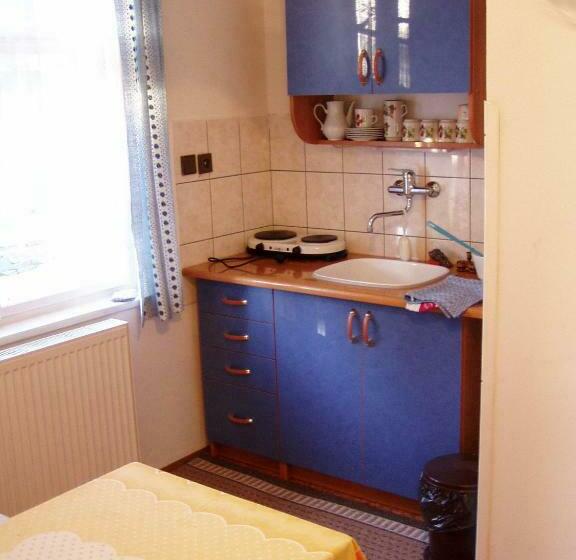 חדר סטודיו סטנדרד, Penzion Roko