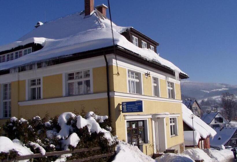 חדר סטודיו סטנדרד, Penzion Roko