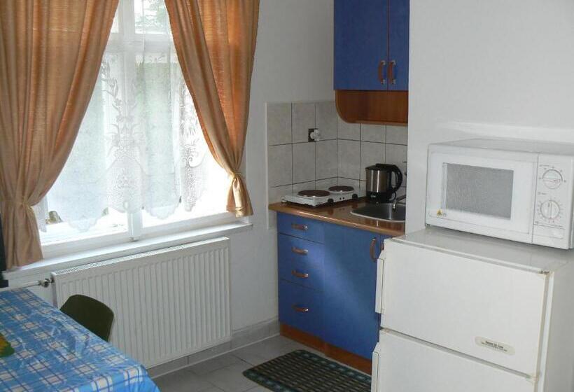 חדר סטודיו סטנדרד, Penzion Roko