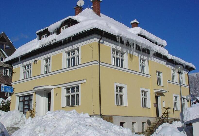 חדר סטודיו סטנדרד, Penzion Roko