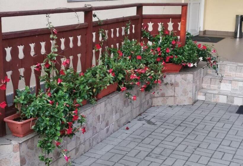 スタンダードルーム, Pensiunea Maria Köber