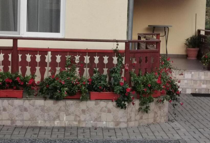 スタンダードルーム, Pensiunea Maria Köber