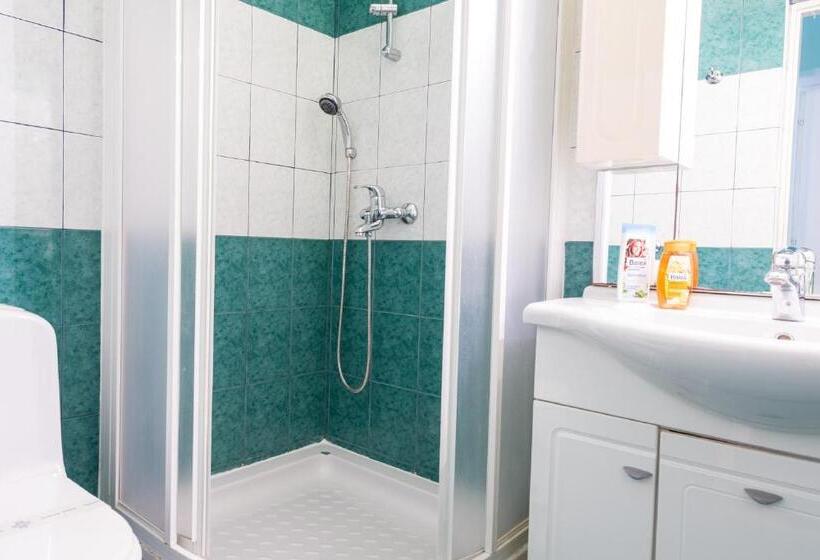 غرفة قياسية مزوَّدة بتراس, Apartments And Room Lora