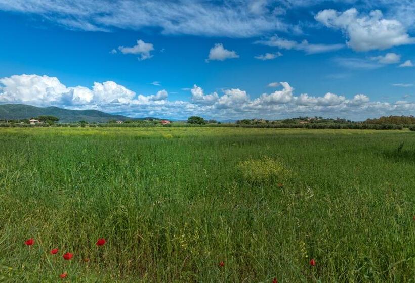 スタンダードルーム, Agriturismo Lucerna Del Lago Prile