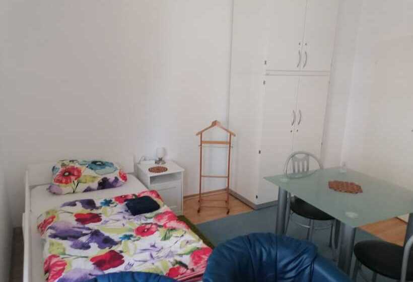 اتاق استاندارد با سرویس بهداشتی مشترک, Pension Hans Rastatt Baden Baden