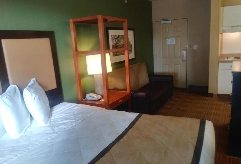 Студия Стандарт, Lonestar Suites