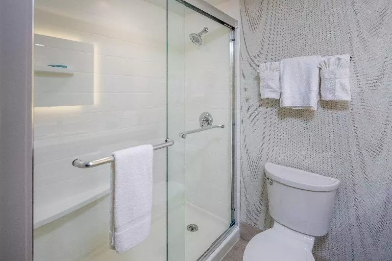 اتاق استاندارد با تخت بزرگ, Holiday Inn Express   Sunnyvale   Silicon Valley, An Ihg