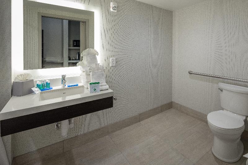 스탠다드 룸 킹사이즈 침대, Holiday Inn Express   Sunnyvale   Silicon Valley, An Ihg