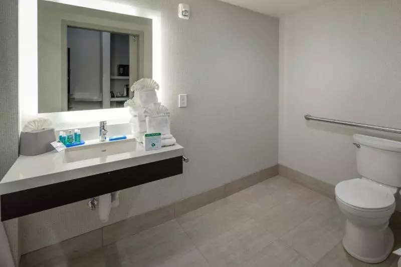 اتاق استاندارد با تخت بزرگ برای معلولان, Holiday Inn Express   Sunnyvale   Silicon Valley, An Ihg