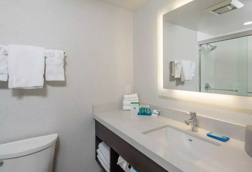 اتاق استاندارد با تخت دوبل, Holiday Inn Express   Sunnyvale   Silicon Valley, An Ihg