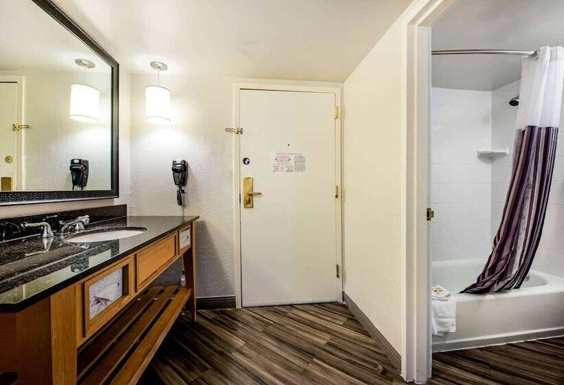 带2个双人床的标准工作室, La Quinta By Wyndham Fort Lauderdale Tamarac