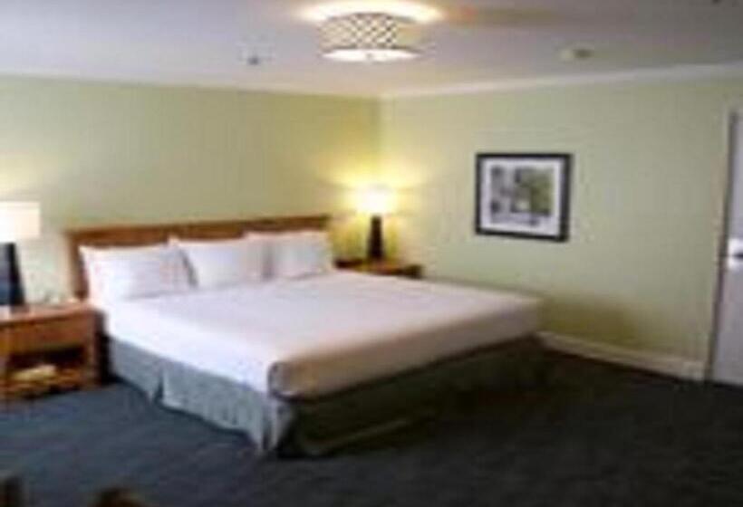 스탠다드 룸 킹사이즈 침대, The University Inn At Emory