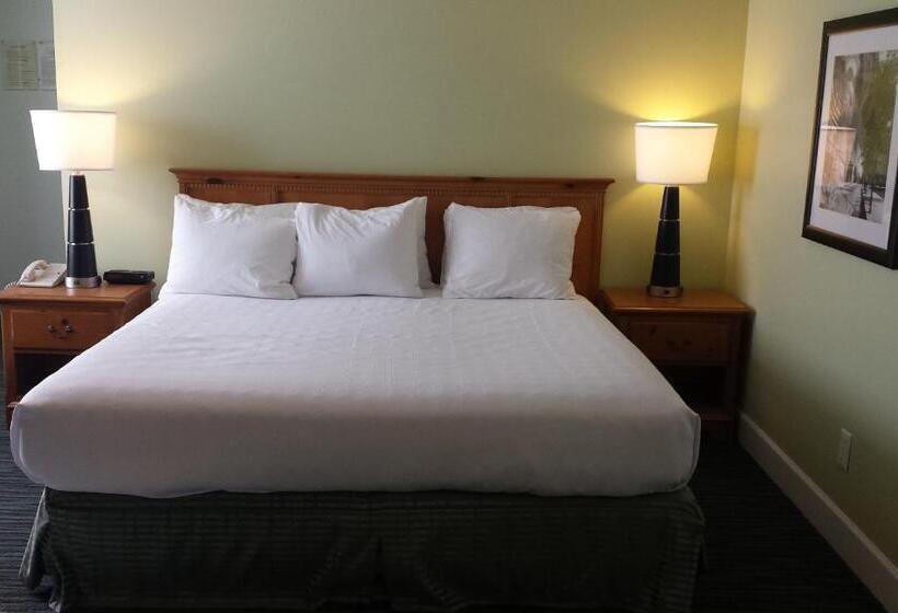 스탠다드 룸 킹사이즈 침대, The University Inn At Emory