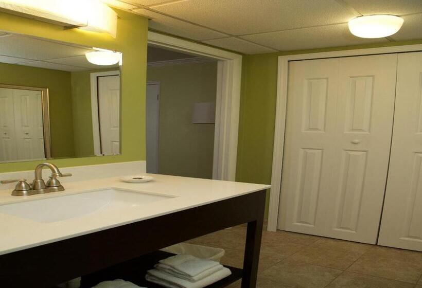 디럭스 4인 룸, The University Inn At Emory