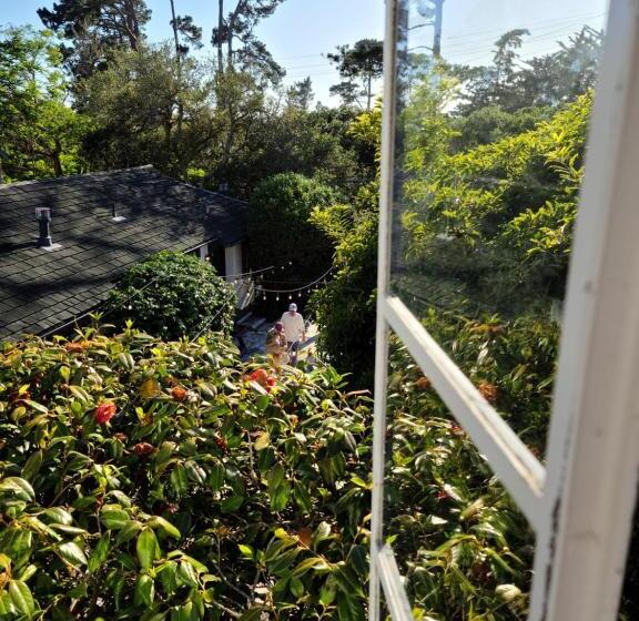 豪华房间, The Vagabond S House Boutique Inn