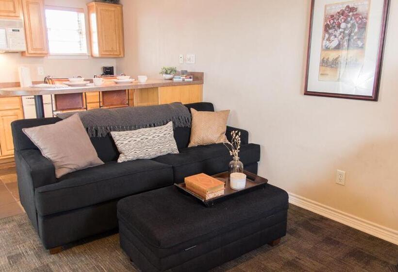 سوییت, Vineyard Court Designer Suites